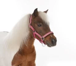 HB Shetlandhalter Glitter Shine -Equestrian Supplies Online Shop 00005656W 1 301035126