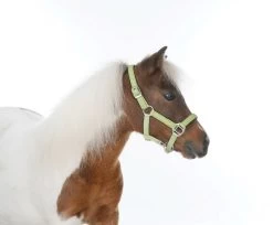 HB Shetlandhalter Glitter Shine -Equestrian Supplies Online Shop 00005656W 1 301060093