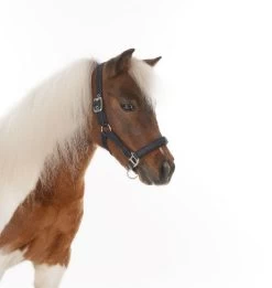 HB Shetlandhalter Glitter Shine -Equestrian Supplies Online Shop 00005656W 1 301079211