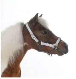 HB Shetlandhalter Glitter Shine -Equestrian Supplies Online Shop 00005656W 1 301082011