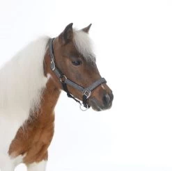 HB Shetlandhalter Glitter Shine