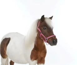 HB Shetlandhalter Glitter Shine -Equestrian Supplies Online Shop 00005656W 2 301035126