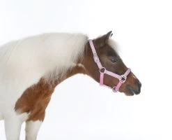 HB Shetlandhalter Glitter Shine -Equestrian Supplies Online Shop 00005656W 2 301035127