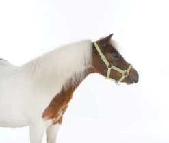 HB Shetlandhalter Glitter Shine -Equestrian Supplies Online Shop 00005656W 2 301060093