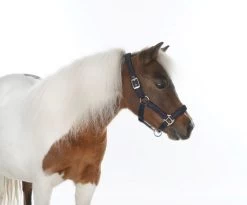 HB Shetlandhalter Glitter Shine -Equestrian Supplies Online Shop 00005656W 2 301079211