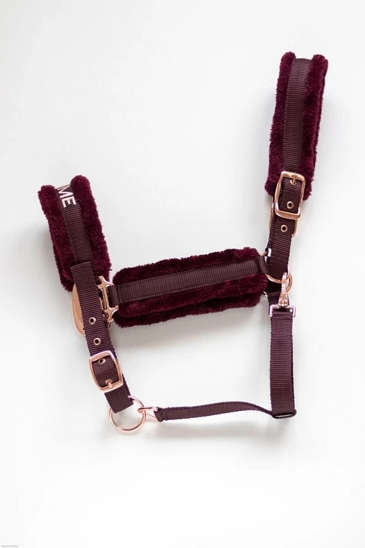 HB Showtime Halter Teddy Rosegold 7 HB Showtime Halter Teddy Rosegold - Image 7