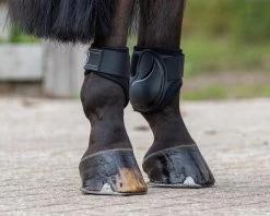 QHP Fetlock Boots Champ 16 QHP Fetlock Boots Champ -Equestrian Supplies Online Shop 00005716W 3 313090106