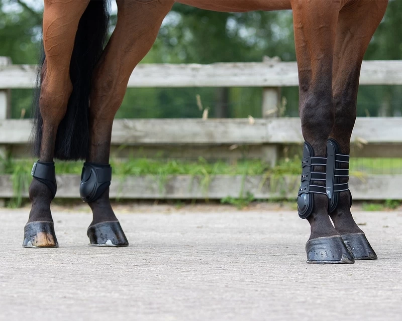 QHP Fetlock Boots Champ 9 QHP Fetlock Boots Champ - Image 9