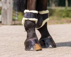 QHP Fetlock Boots Tario -Equestrian Supplies Online Shop 00005719W 3 313050050