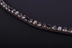 PresTeq Browband ShineBright -Equestrian Supplies Online Shop 00005729W 1 304050009