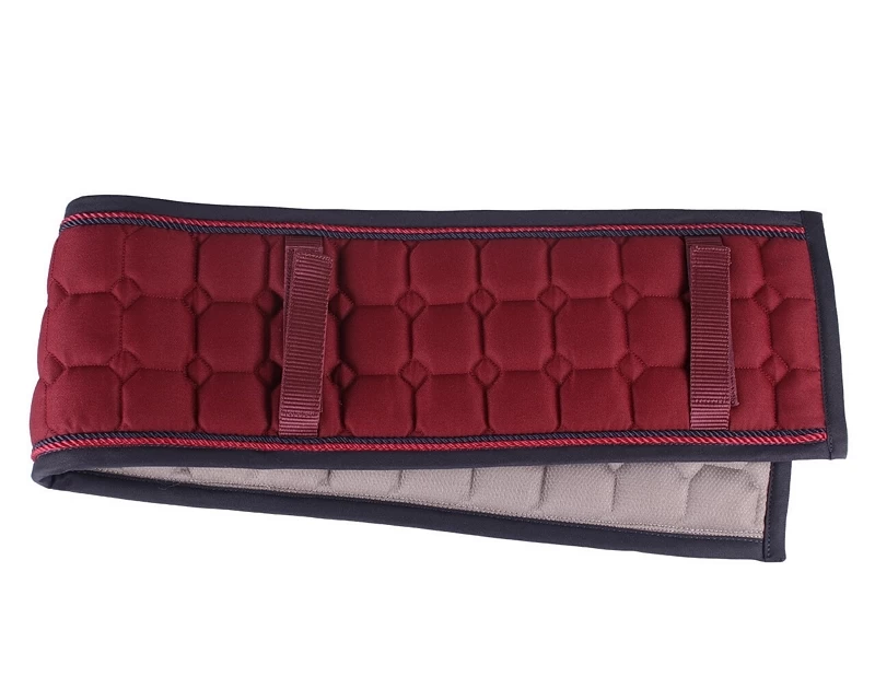 QHP Lunging/harness Pad Florence 2 QHP Lunging/harness Pad Florence - Image 2