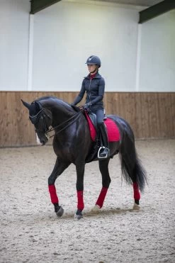 LeMieux Luxury Polo Bandages -Equestrian Supplies Online Shop 00005817W 2 311030015