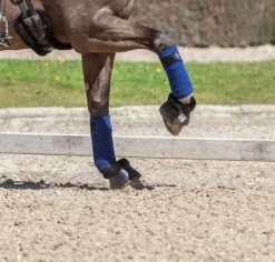 LeMieux Luxury Polo Bandages -Equestrian Supplies Online Shop 00005817W 2 311070044