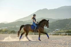 LeMieux Luxury Polo Bandages -Equestrian Supplies Online Shop 00005817W 3 311070044