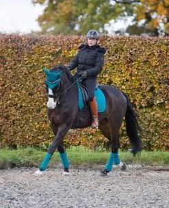 LeMieux Luxury Polo Bandages -Equestrian Supplies Online Shop 00005817W 4 311060013