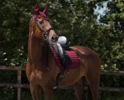 QHP Ear Net Florence -Equestrian Supplies Online Shop 00005859W 2 405134009