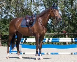 QHP Ear Net Florence -Equestrian Supplies Online Shop 00005859W 3 405179087