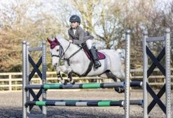 LeMieux Saddlepad Junior Pro Jump -Equestrian Supplies Online Shop 00005909W 3 218034120