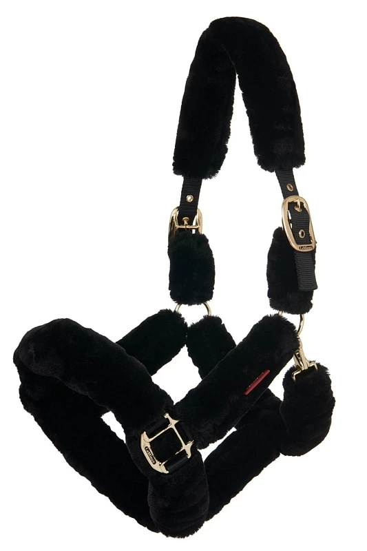 LeMieux Comfort Plus Headcollar 2 LeMieux Comfort Plus Headcollar - Image 2