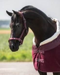 QHP Head Collar Set Lily -Equestrian Supplies Online Shop 00005919W 3 301034059