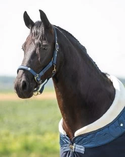 QHP Head Collar Set Lily -Equestrian Supplies Online Shop 00005919W 3 301079223