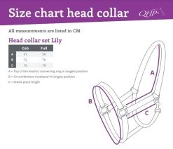 QHP Head Collar Set Lily -Equestrian Supplies Online Shop 00005919W 4 301079223