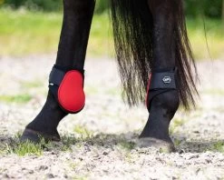 QHP Fetlock Boots -Equestrian Supplies Online Shop 00005925W 3 313030002