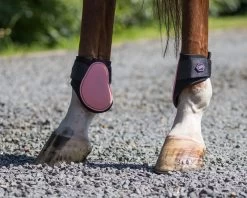 QHP Fetlock Boots -Equestrian Supplies Online Shop 00005925W 3 313035018