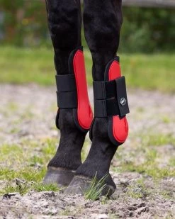 QHP Tendon Boots -Equestrian Supplies Online Shop 00005926W 3 312030014