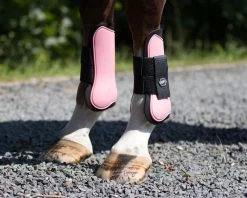 QHP Tendon Boots -Equestrian Supplies Online Shop 00005926W 3 312035042