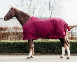 QHP Rug Coolmesh Astana 10 QHP Rug Coolmesh Astana -Equestrian Supplies Online Shop 00005930W 1 406035015