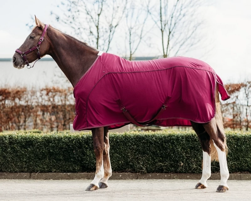 QHP Rug Coolmesh Astana 4 QHP Rug Coolmesh Astana - Image 4