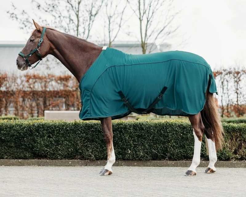 QHP Rug Coolmesh Astana 1 QHP Rug Coolmesh Astana