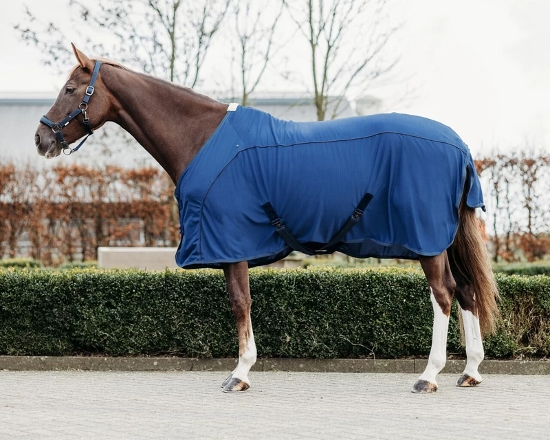 QHP Rug Coolmesh Astana 2 QHP Rug Coolmesh Astana - Image 2