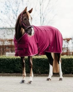 QHP Rug Coolmesh Astana 11 QHP Rug Coolmesh Astana -Equestrian Supplies Online Shop 00005930W 2 406035015