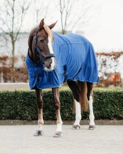 QHP Rug Coolmesh Astana 9 QHP Rug Coolmesh Astana -Equestrian Supplies Online Shop 00005930W 2 406079137