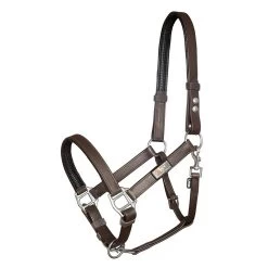 Equilibrium Stellar Safety Headcollar -Equestrian Supplies Online Shop 00005944W 1 301050152