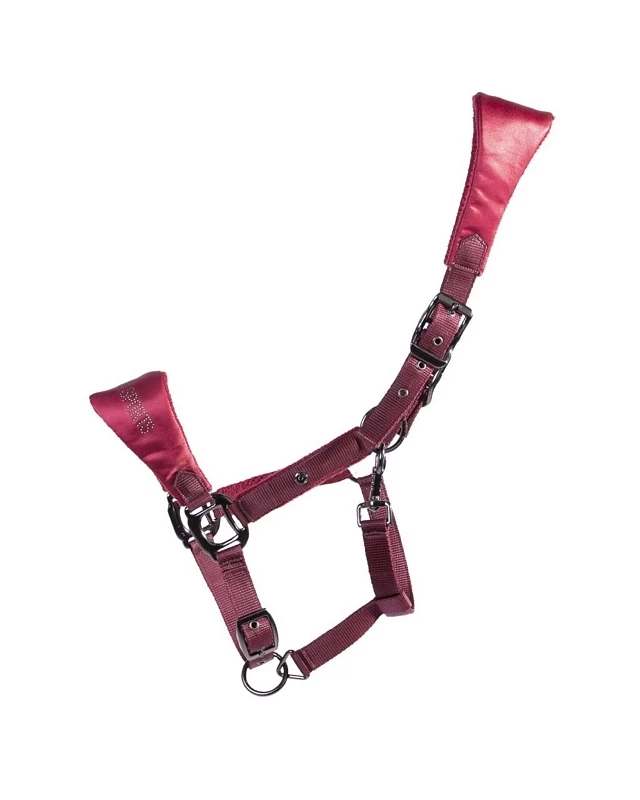 QHP Head Collar Gloss 15 QHP Head Collar Gloss - Image 15