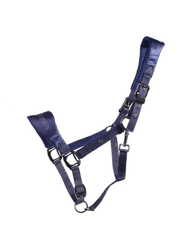 QHP Head Collar Gloss 11 QHP Head Collar Gloss - Image 11