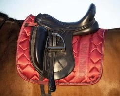 QHP Saddlepad Gloss -Equestrian Supplies Online Shop 00005986W 3 218034124