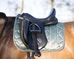 QHP Saddlepad Gloss -Equestrian Supplies Online Shop 00005986W 3 218060242