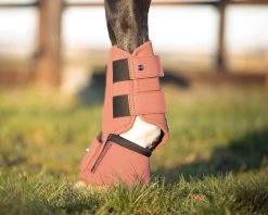 QHP Bell Boots Gloss -Equestrian Supplies Online Shop 00006018W 2 314034017