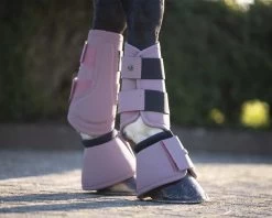 QHP Bell Boots Gloss -Equestrian Supplies Online Shop 00006018W 2 314035024
