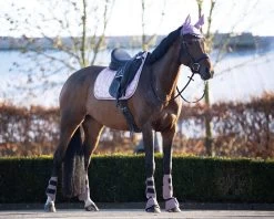 QHP Bell Boots Gloss -Equestrian Supplies Online Shop 00006018W 3 314035024