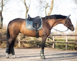 QHP Bell Boots Gloss -Equestrian Supplies Online Shop 00006018W 3 314060022