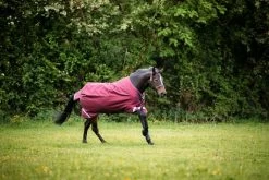 Horseware Rambo Original Lite With Leg Arches 0grs -Equestrian Supplies Online Shop 00006083W 4 402034008