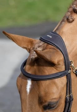 LeMieux Work Bridle -Equestrian Supplies Online Shop 00006107W 2 302050135