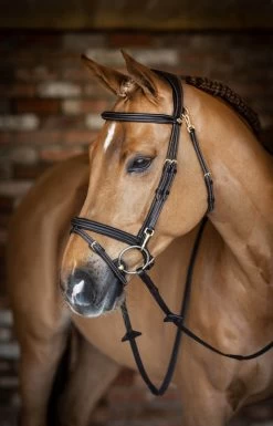 LeMieux Work Bridle -Equestrian Supplies Online Shop 00006107W 3 302050135