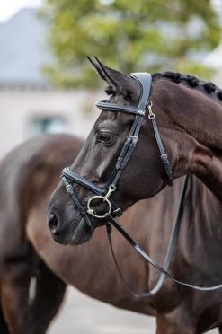 LeMieux Work Bridle -Equestrian Supplies Online Shop 00006107W 3 302090669