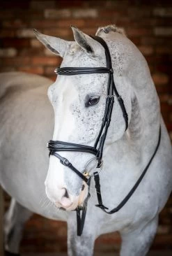 LeMieux Competition Flash Bridle -Equestrian Supplies Online Shop 00006109W 3 302090671